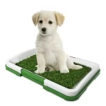 Toaleta cu iarba artificiala pentru animale, Puppy Potty Pad